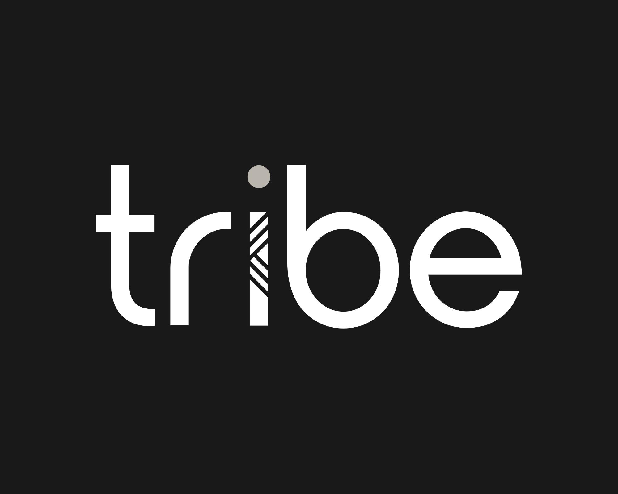 Tribe: Payments Processor And Technology Partner - Currencycloud